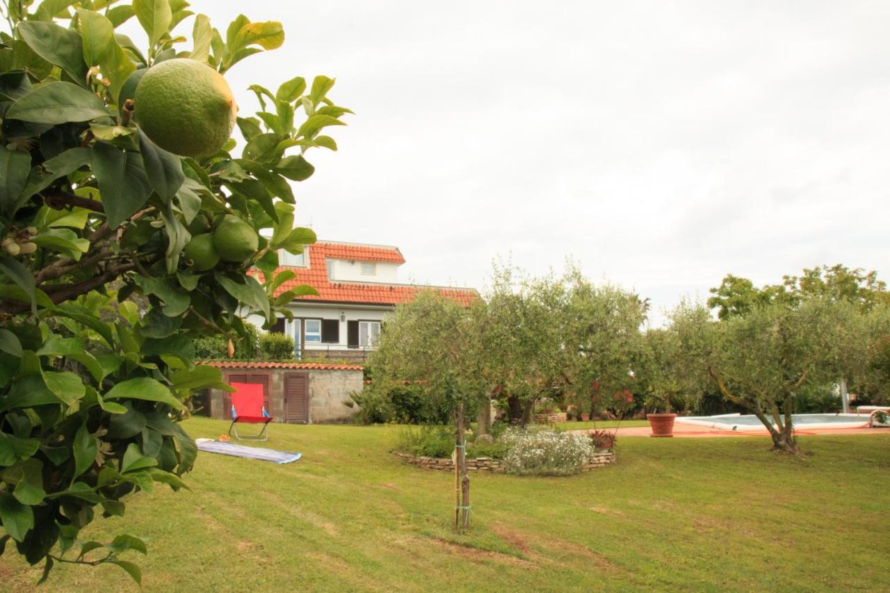 A Casa Di Iole Cogna Exterior foto